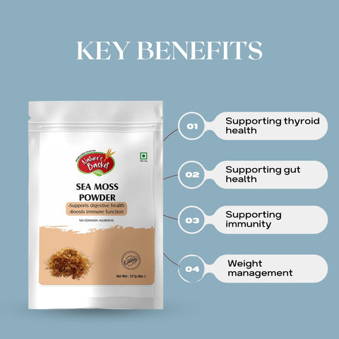 Nature's Basket Sea Moss (Chondrus Crispus) Powder 227g - Marine Wellness Boost