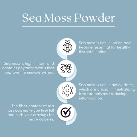 Nature's Basket Sea Moss (Chondrus Crispus) Powder 227g - Marine Wellness Boost
