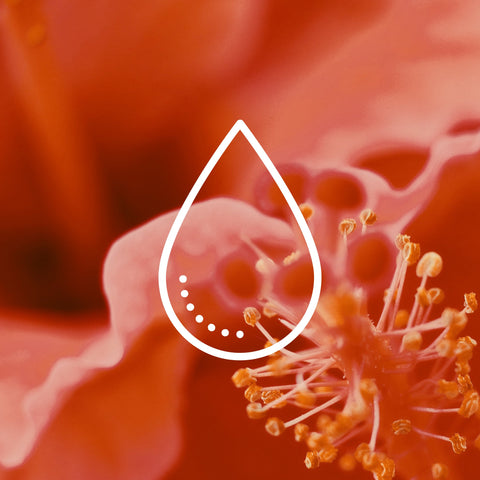 Healthy Blood Circulation Supplements