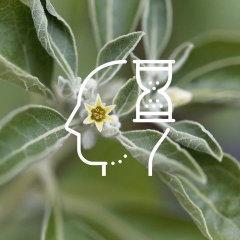 Stress Buster Supplement