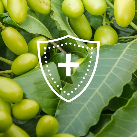 Immunity Supplements