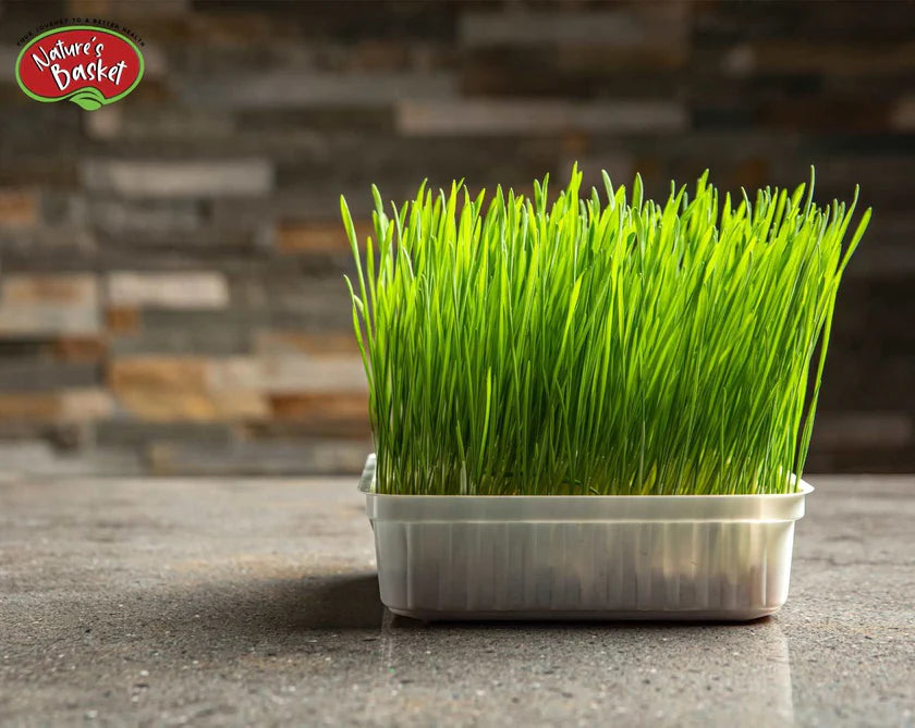 Nature's Basket Barley Grass powder 227g Nature's Basket AU