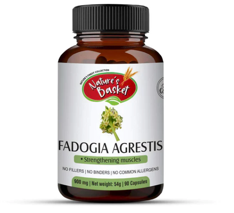 Fadogia Agrestis Extract 60 Veg Capsules – Natural Aphrodisiac and Performance Booster