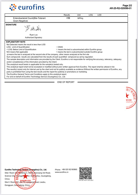 Nature's Basket Pure Creatine Monohydrate Gummies