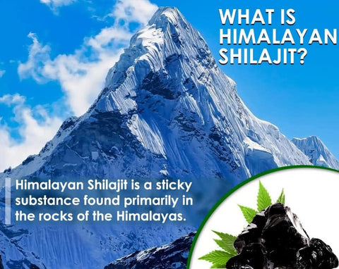 Nature's Basket Shilajit Resin (25 Grams) Himalayan Wellness Powerhouse