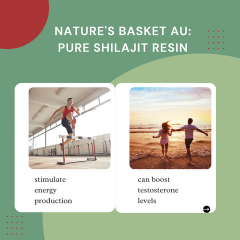 Nature's Basket Shilajit Resin (25 Grams) Himalayan Wellness Powerhouse