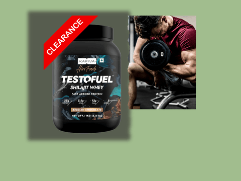 Testofuel Shilajit 1