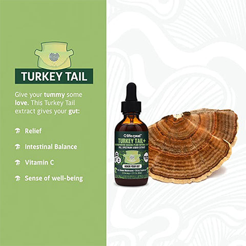 Life Cykel Turkey Tail Double Extract 60ml